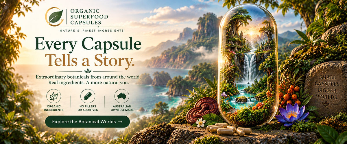 Promotional banner for Organic Superfood Capsules featuring a large scenic botanical landscape on the left and a glass terrarium with a waterfall and tropical plants on the right. Text reads 'Every Capsule Tells a Story' and 'Explore the Botanical Worlds.