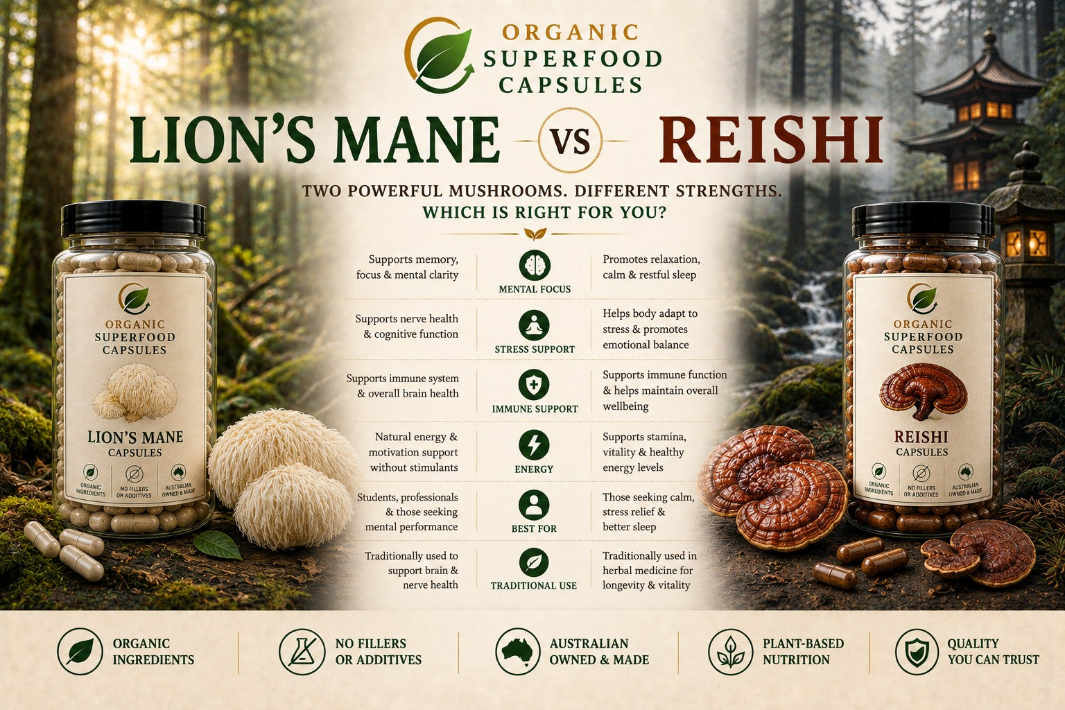Lion's Mane vs Reishi: Which Mushroom Supplement Is Right for You?