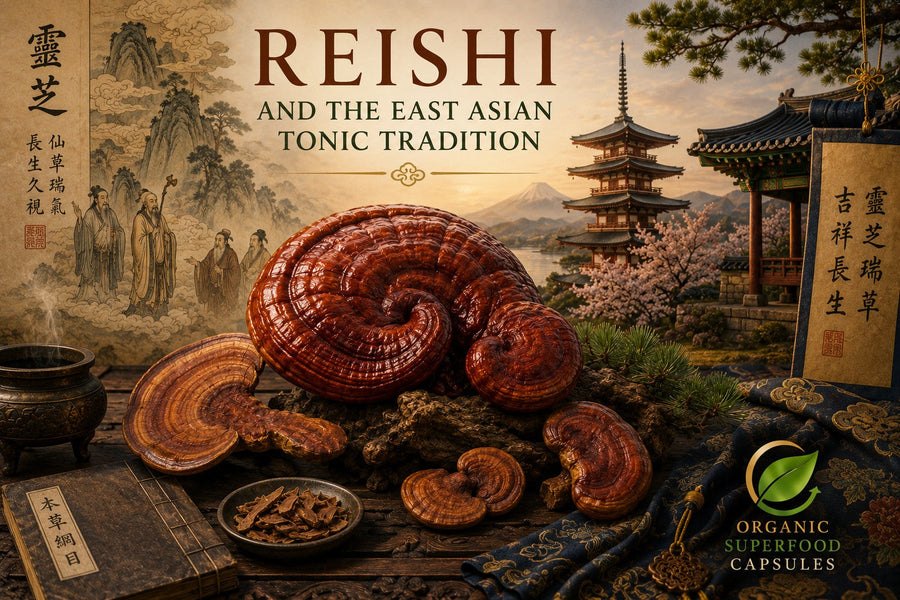 Reishi and the East Asian Tonic Tradition