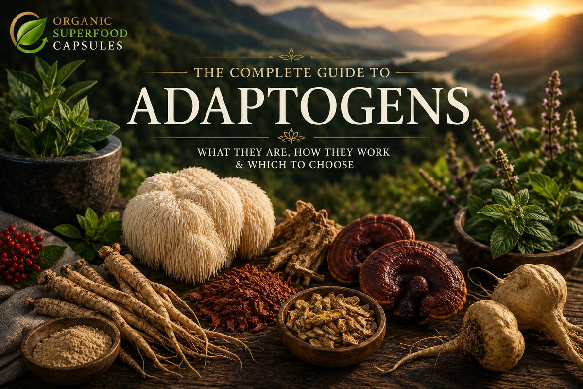 The Complete Guide to Adaptogens: What They Are, Their History & What Research Says
