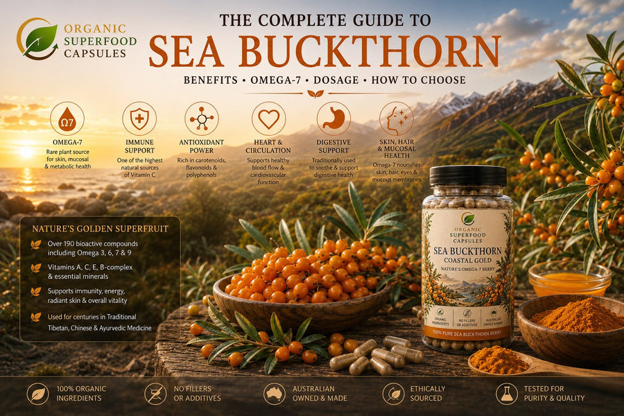 The Complete Guide to Sea Buckthorn: Benefits, Omega-7, Dosage & How to Choose