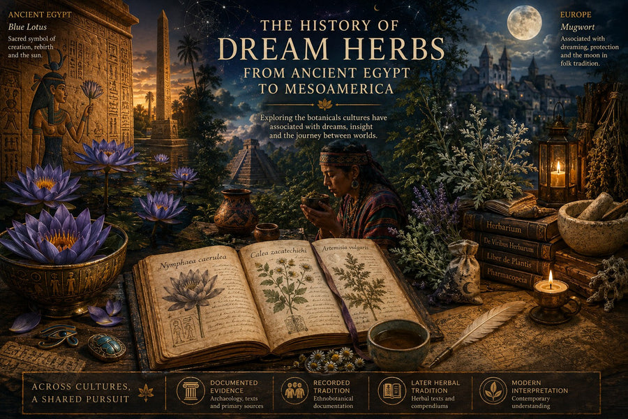 The History of Dream Herbs: From Ancient Egypt to Mesoamerica