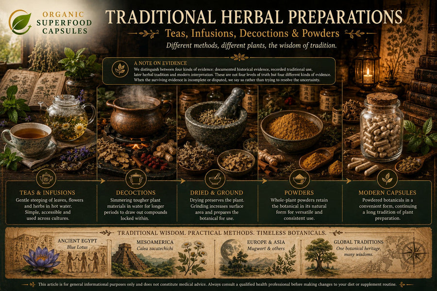 Traditional Herbal Preparations: Teas, Infusions, Decoctions & Powders