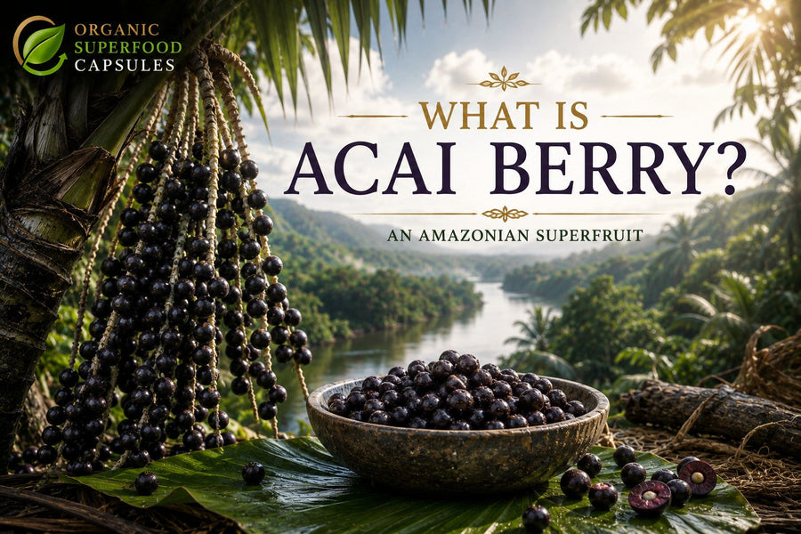 What Is Acai Berry?