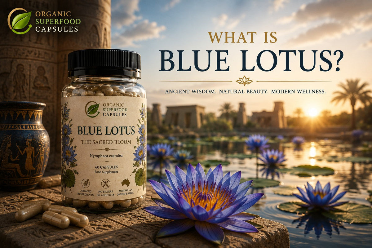 What Is Blue Lotus?