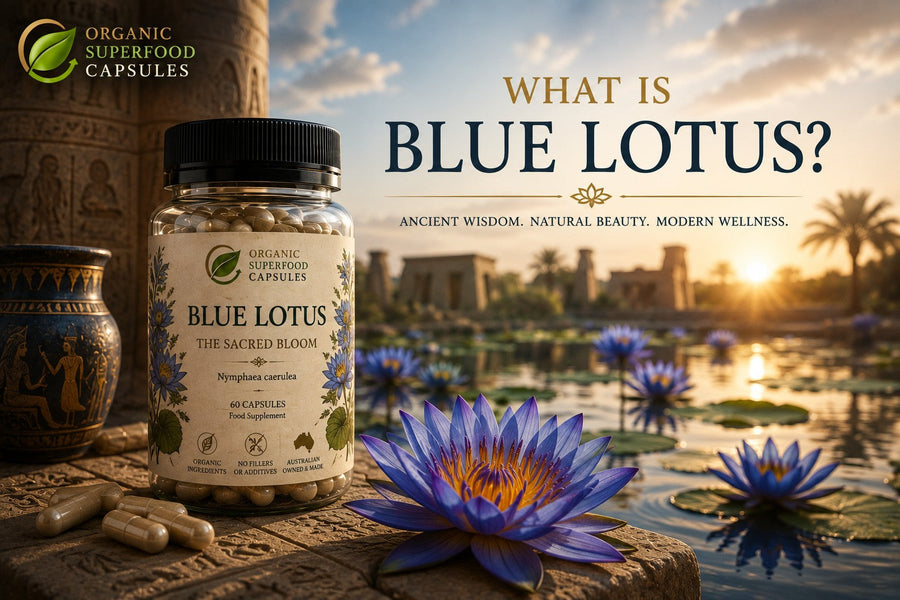 What Is Blue Lotus?