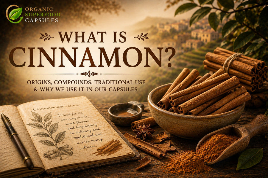 What is Cinnamon?