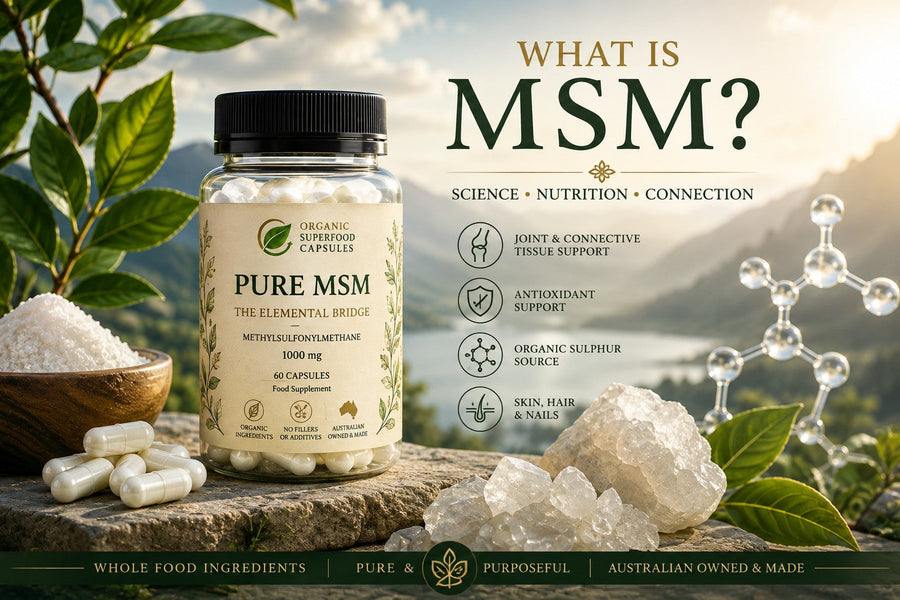 What Is MSM?