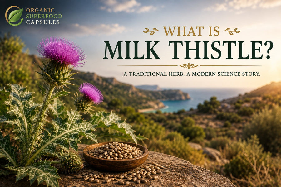 What Is Milk Thistle?
