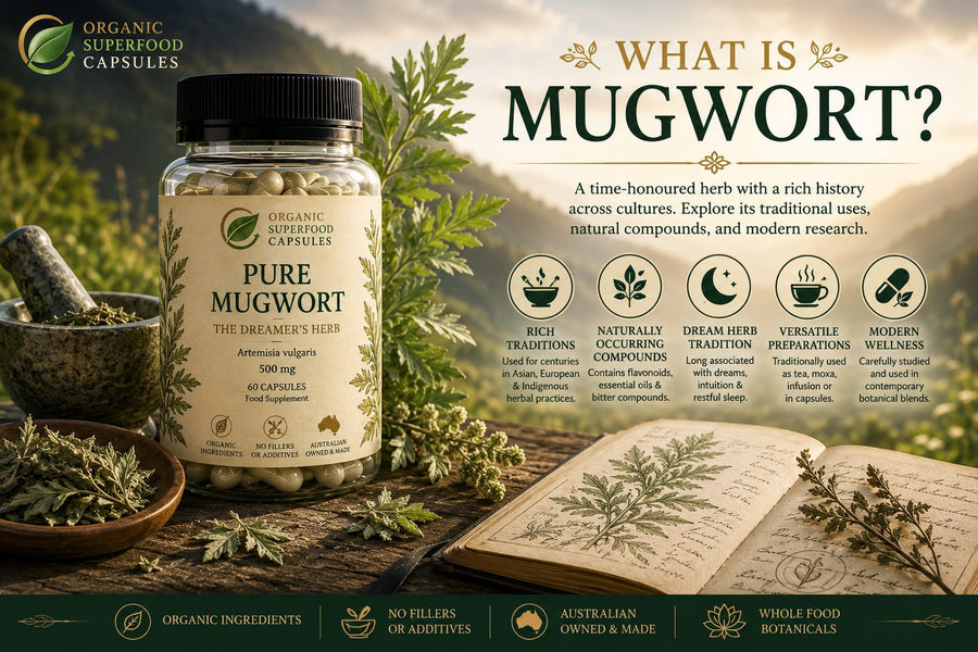 What Is Mugwort?