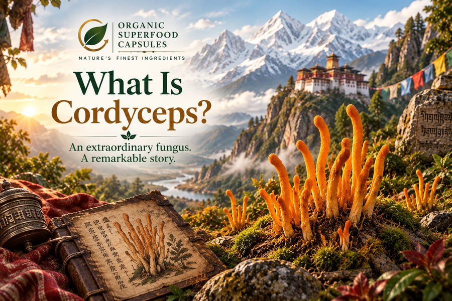 What Is Cordyceps Mushroom?