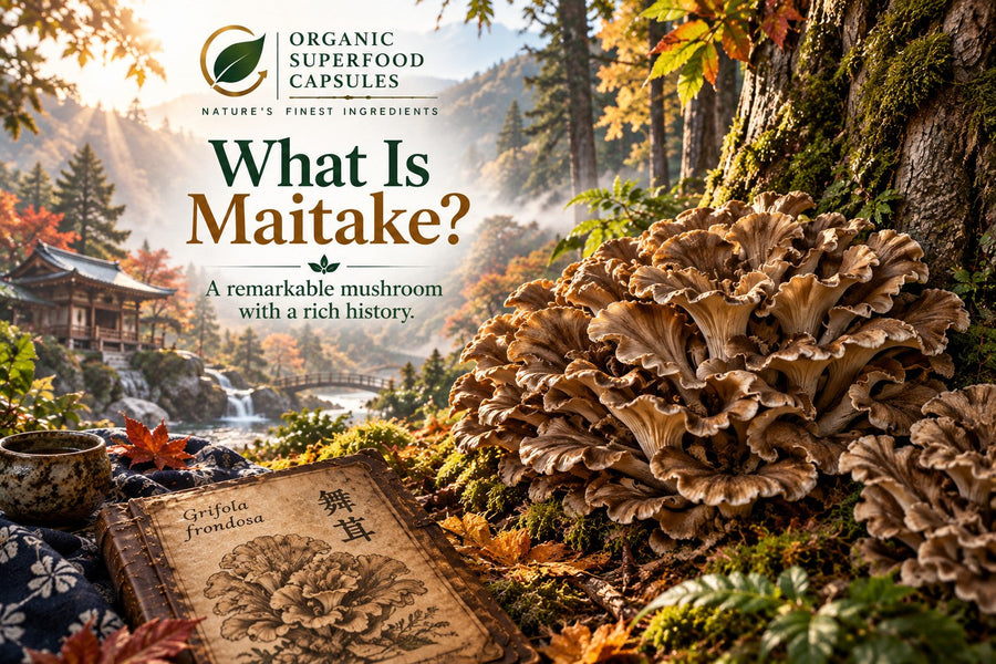 What Is Maitake Mushroom?