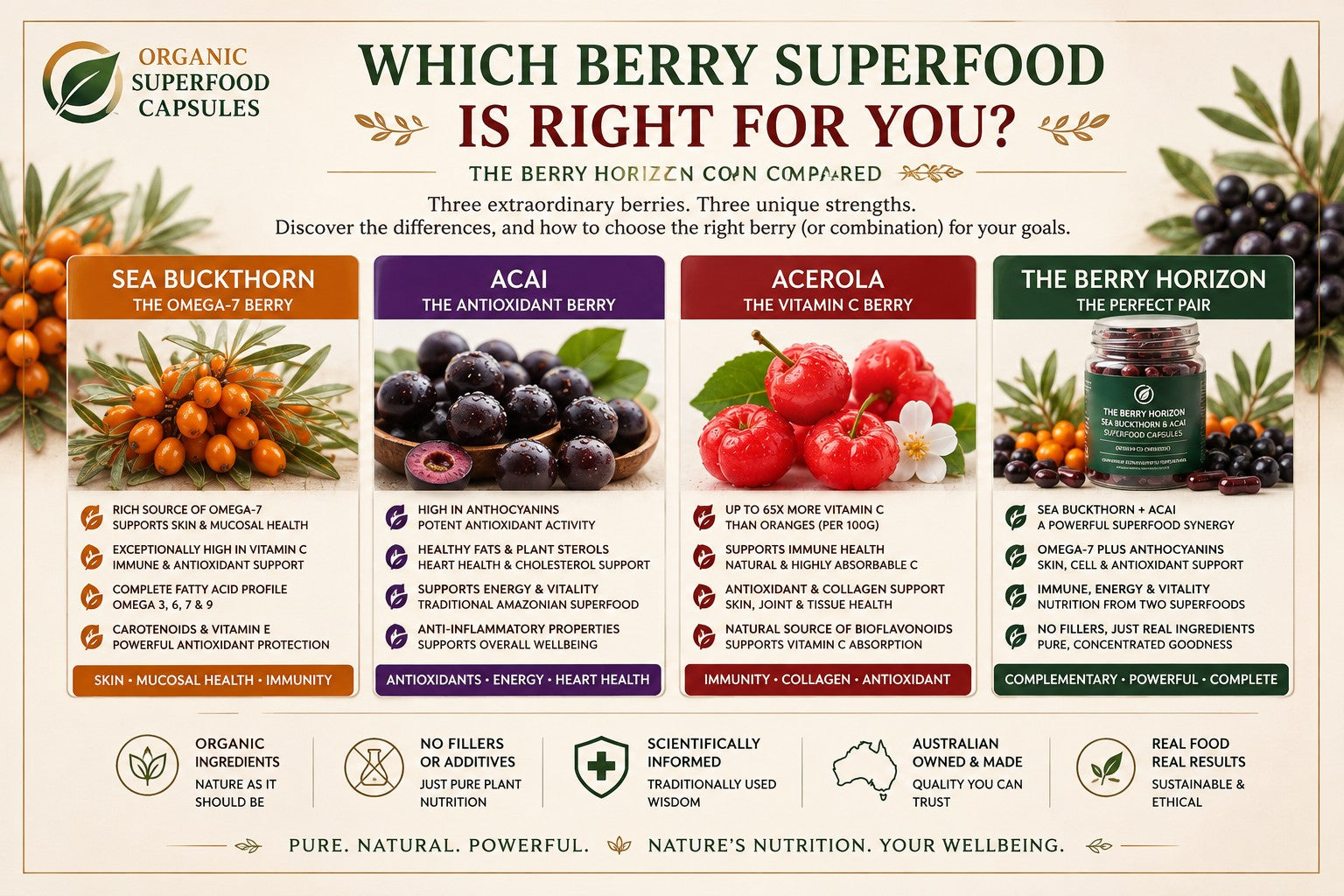 Which Berry Superfood Is Right for You? Sea Buckthorn, Acai, Acerola & The Berry Horizon Compared