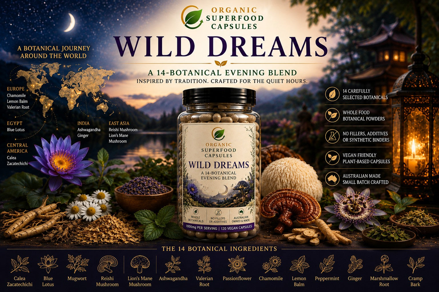 Wild Dreams Sleep & Dream Well! 