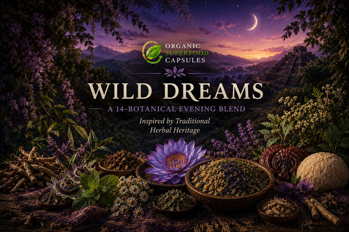 Wild Dreams — A 14-Botanical Evening Blend Inspired by Traditional Herbal Heritage