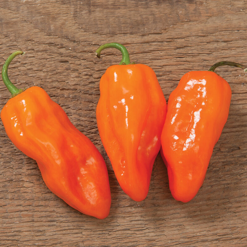 Extreme Heat Cayenne & Habanero Capsules – 500mg | 350,000 SHU