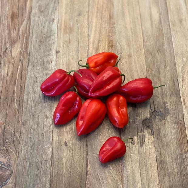 Organic Cayenne & Habanero Pepper 