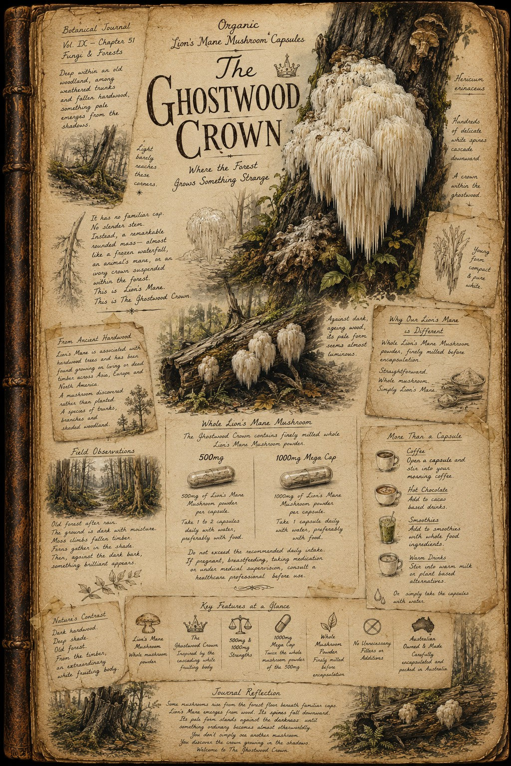 A vintage-style illustrated book page titled 'The Ghostwood Crown' with aged tan paper, black text, and detailed drawings of ghostwood mushrooms, forest scenes, and small botanical illustrations.