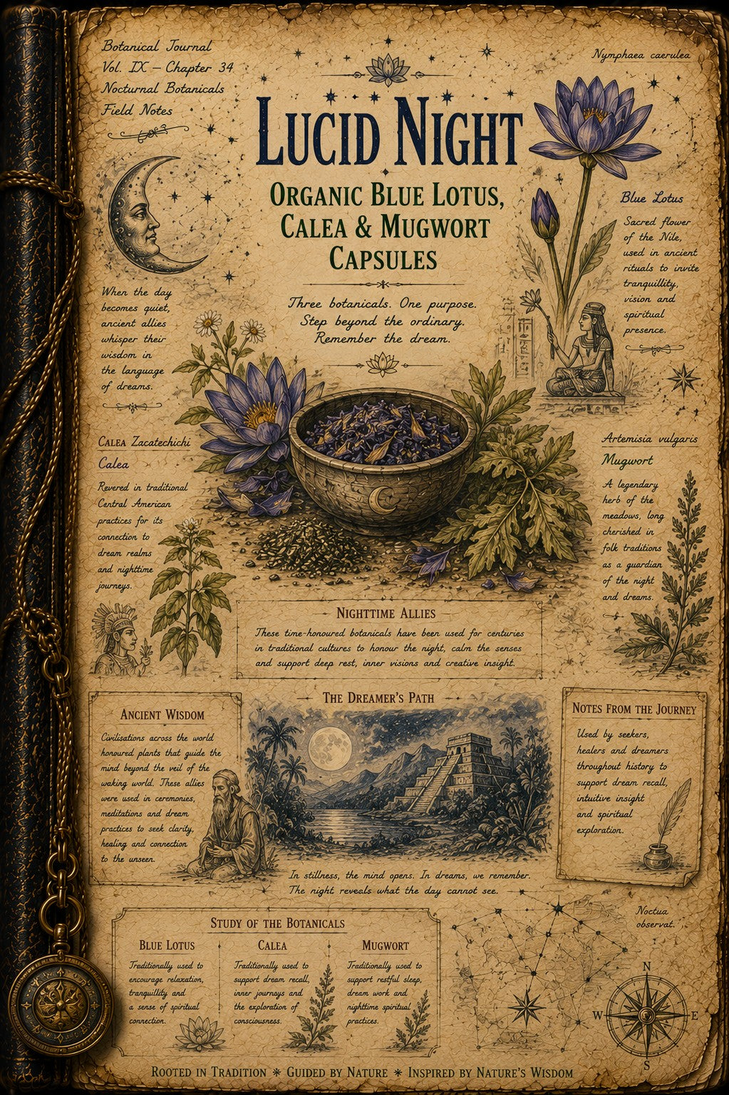 A vintage-style illustrated journal page titled 'Lucid Night' with botanical illustrations, notes about organic blue lotus, cala, and mugwort capsules, a bowl of dried herbs, and a compass pendant on a dark leather-bound book.