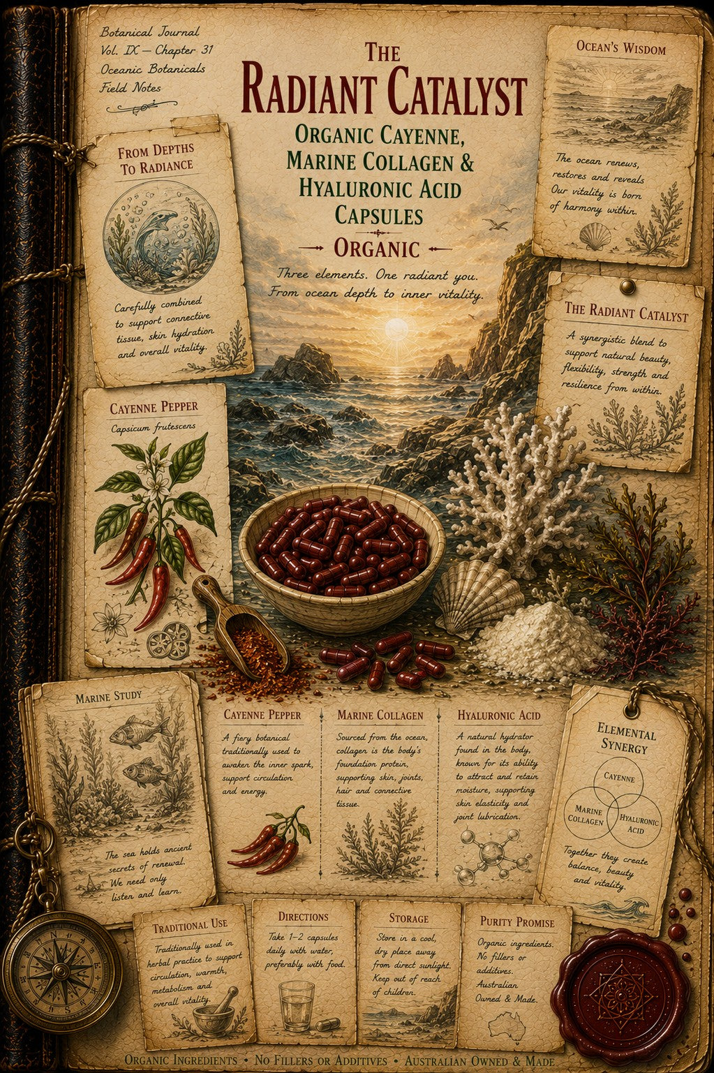 A vintage-style illustrated poster titled "The Radiant Catalyst" showing a bowl of red capsules, dried herbs, shells, and illustrated ingredient panels arranged over an aged parchment background with a compass and wax seal.