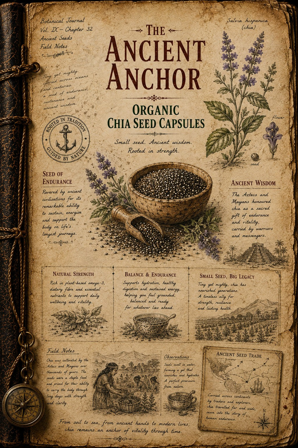 Vintage-style illustrated book cover titled "The Ancient Anchor" featuring the product name "Organic Chia Seed Capsules," botanical drawings of chia plants, a bowl of chia seeds, and decorative text panels on aged parchment.