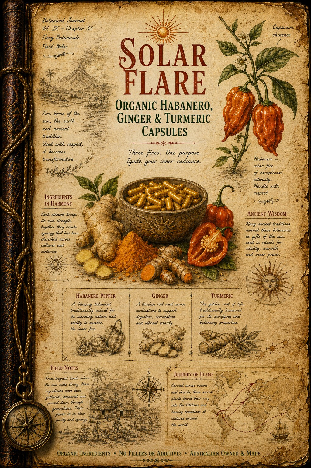 A vintage-style illustrated poster titled 'Solar Flare' showing herbs, spices, capsules, and botanical drawings arranged like aged parchment with decorative rope and compass elements around the border.