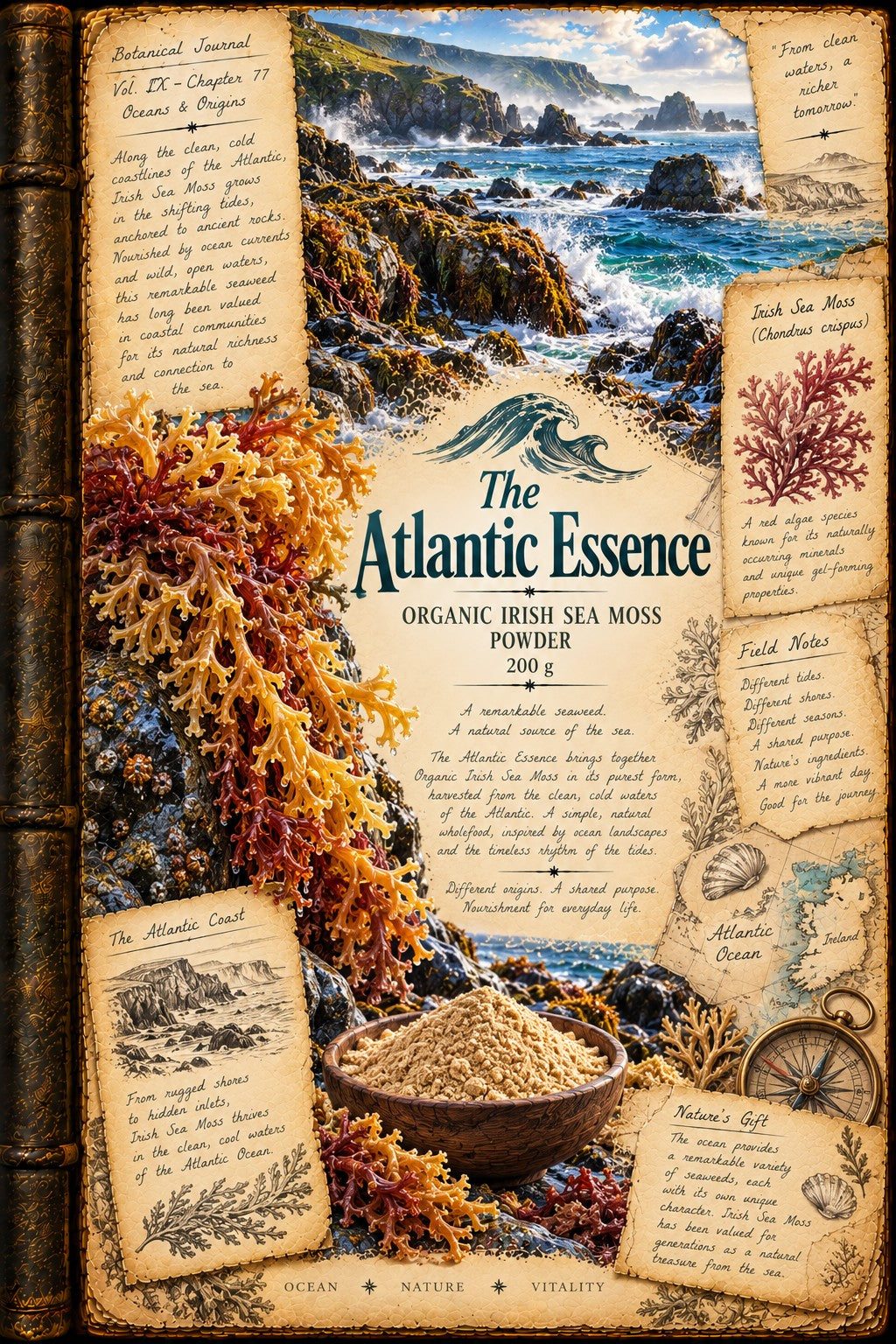 Organic Irish Sea Moss Powder 200g | The Atlantic Essence